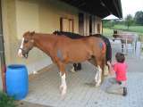 k-IMG_0015