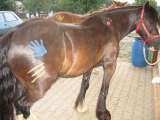 k-IMG_0019