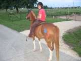 k-IMG_0038
